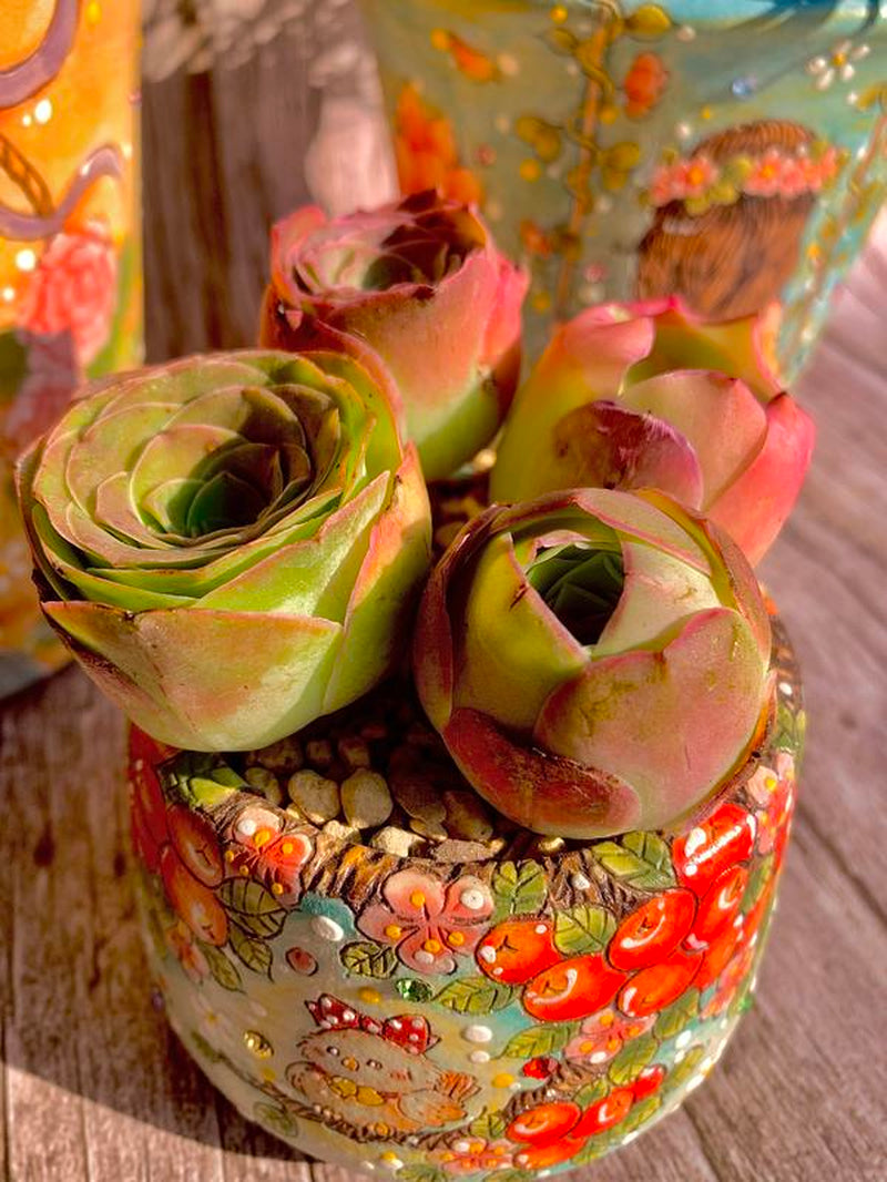 6-Pack of Ever-Blooming Rose Succulent Plants - Ideal Gift for Any Occasion & Perfect All-Season Home and Office Decor!