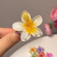 Gradient Flower Hair Clips 