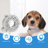 Revolutionary Anti-Flea and Tick Collar for Dogs and Cats – Effective, Vet-Approved Protection for All Sizes!