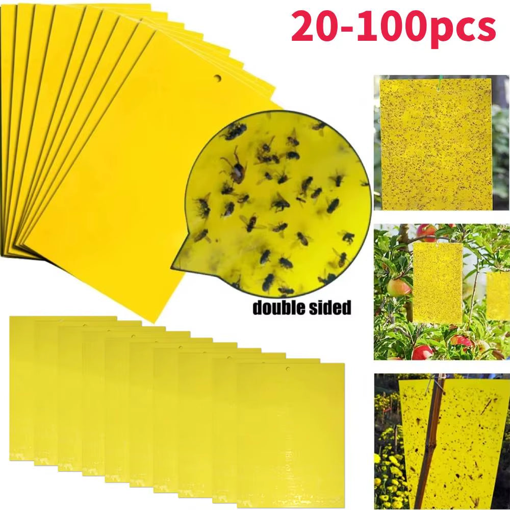 Ultimate Flycatcher Sticky Insect Board – 20-100 Pcs Double-Sided Adhesive Sheets for Greenhouse Pest Control