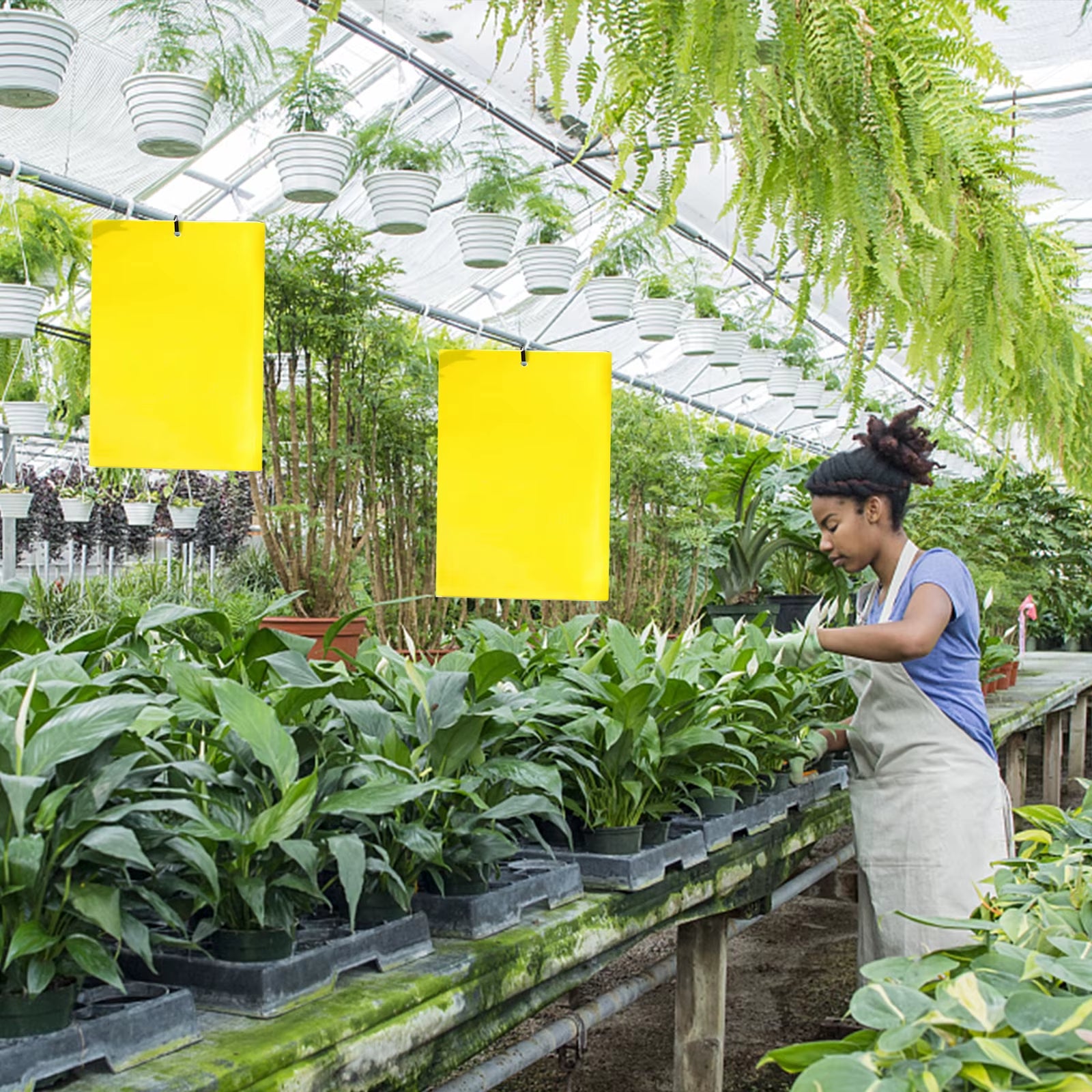 Ultimate Flycatcher Sticky Insect Board – 20-100 Pcs Double-Sided Adhesive Sheets for Greenhouse Pest Control