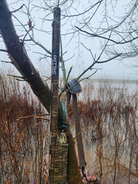 Timber Hook: Durable and Versatile Hanging Solution