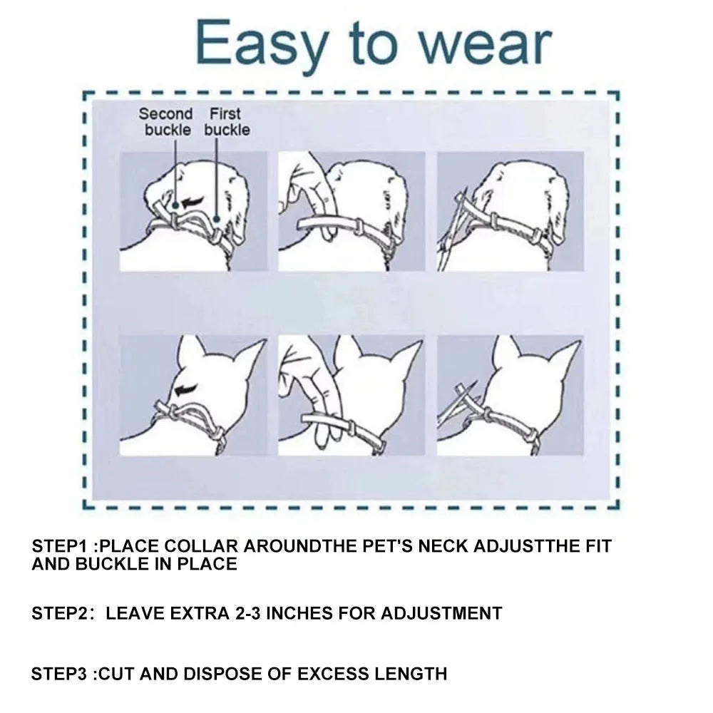Revolutionary Anti-Flea and Tick Collar for Dogs and Cats – Effective, Vet-Approved Protection for All Sizes!