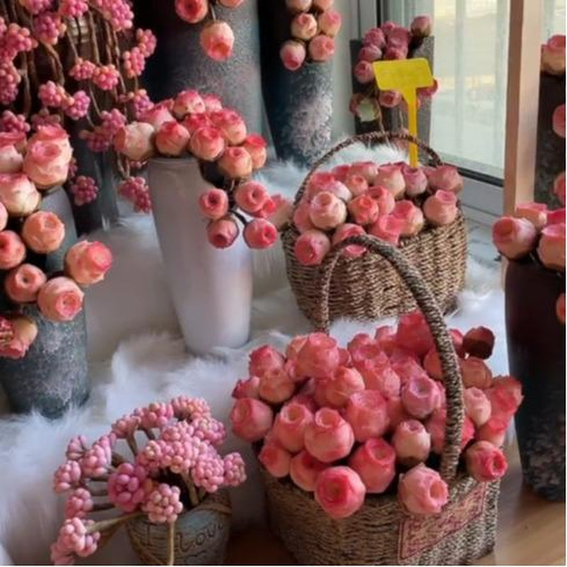 6-Pack of Ever-Blooming Rose Succulent Plants - Ideal Gift for Any Occasion & Perfect All-Season Home and Office Decor!