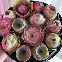 6-Pack of Ever-Blooming Rose Succulent Plants - Ideal Gift for Any Occasion & Perfect All-Season Home and Office Decor!