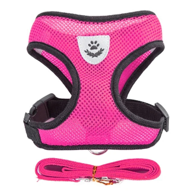 Adjustable Cat and Dog Harness Vest with Leash - Comfortable Mesh Walking Gear for Small and Medium Pets