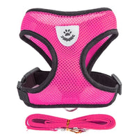 Adjustable Cat and Dog Harness Vest with Leash - Comfortable Mesh Walking Gear for Small and Medium Pets