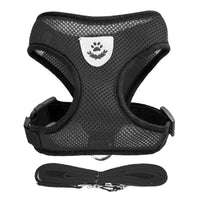 Adjustable Cat and Dog Harness Vest with Leash - Comfortable Mesh Walking Gear for Small and Medium Pets