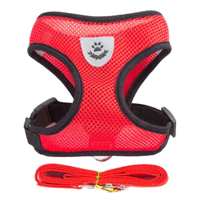 Adjustable Cat and Dog Harness Vest with Leash - Comfortable Mesh Walking Gear for Small and Medium Pets