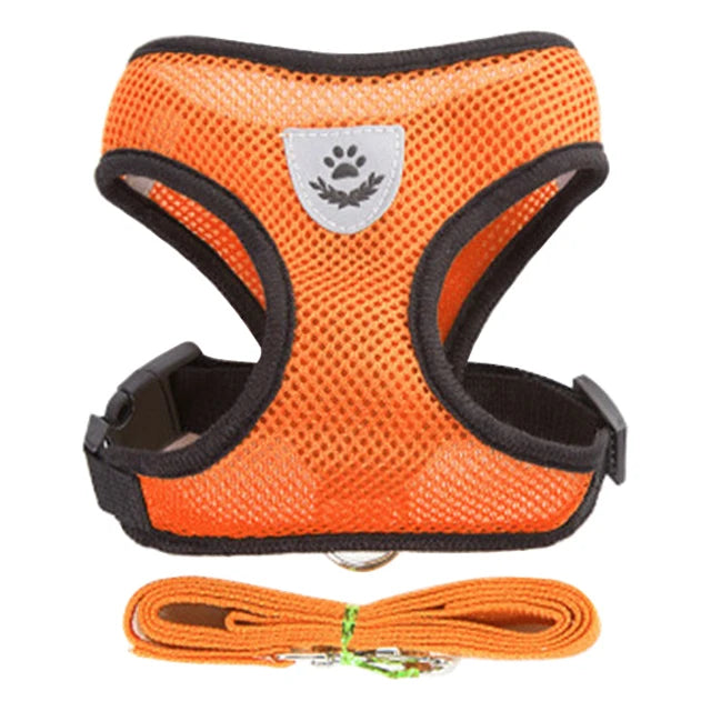 Adjustable Cat and Dog Harness Vest with Leash - Comfortable Mesh Walking Gear for Small and Medium Pets