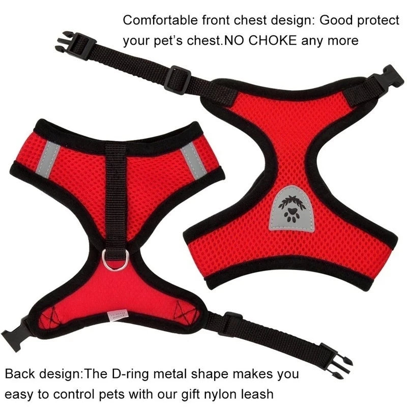 Adjustable Cat and Dog Harness Vest with Leash - Comfortable Mesh Walking Gear for Small and Medium Pets