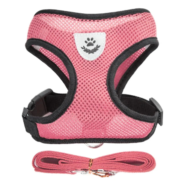 Adjustable Cat and Dog Harness Vest with Leash - Comfortable Mesh Walking Gear for Small and Medium Pets