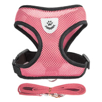 Adjustable Cat and Dog Harness Vest with Leash - Comfortable Mesh Walking Gear for Small and Medium Pets