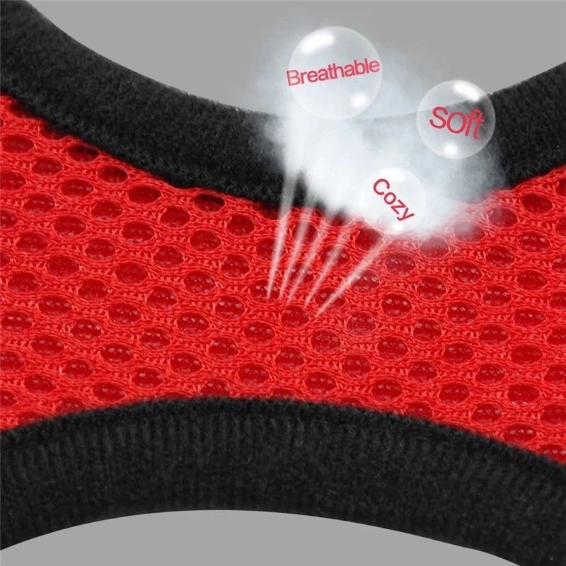 Adjustable Cat and Dog Harness Vest with Leash - Comfortable Mesh Walking Gear for Small and Medium Pets