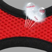 Adjustable Cat and Dog Harness Vest with Leash - Comfortable Mesh Walking Gear for Small and Medium Pets