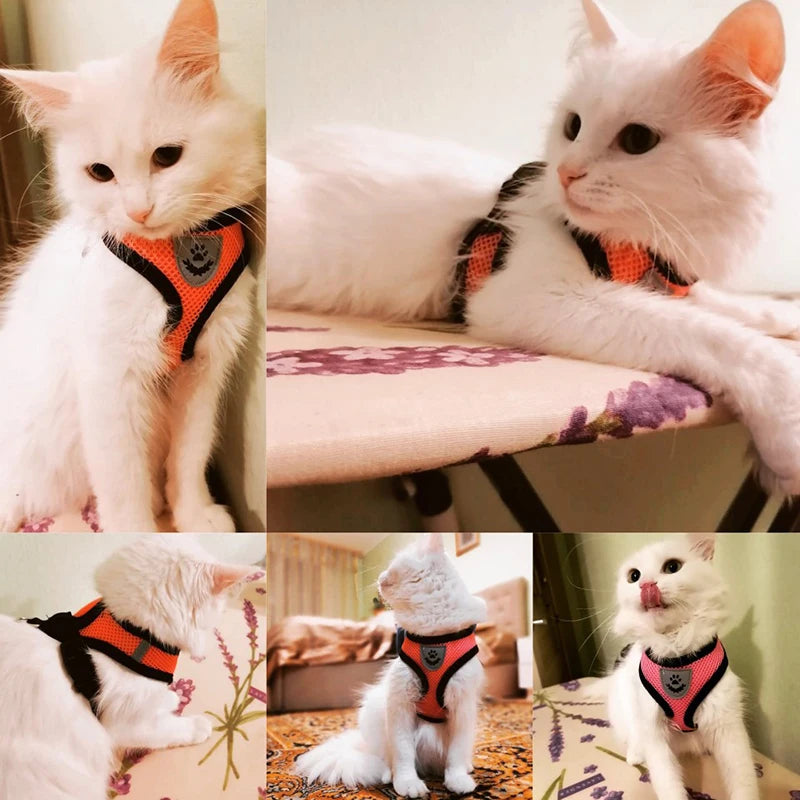 Adjustable Cat and Dog Harness Vest with Leash - Comfortable Mesh Walking Gear for Small and Medium Pets