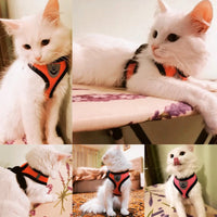 Adjustable Cat and Dog Harness Vest with Leash - Comfortable Mesh Walking Gear for Small and Medium Pets