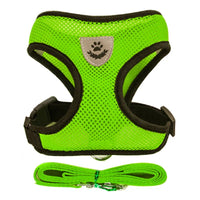 Adjustable Cat and Dog Harness Vest with Leash - Comfortable Mesh Walking Gear for Small and Medium Pets