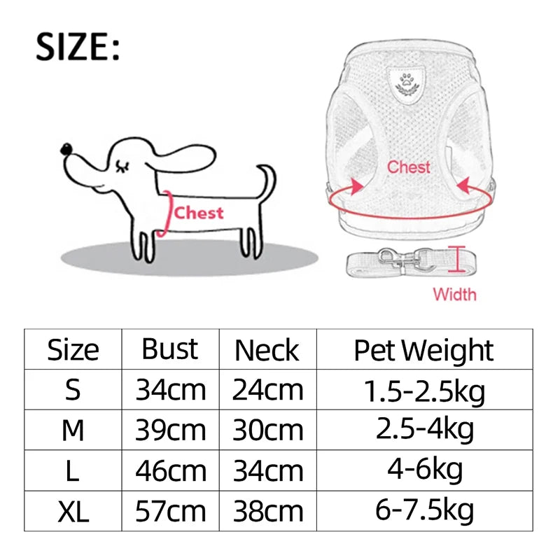 Adjustable Cat and Dog Harness Vest with Leash - Comfortable Mesh Walking Gear for Small and Medium Pets