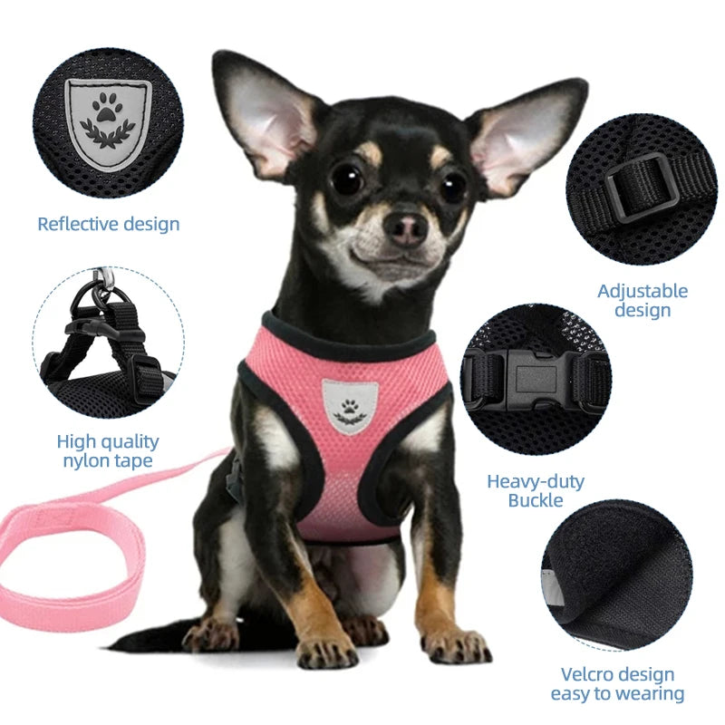 Adjustable Cat and Dog Harness Vest with Leash - Comfortable Mesh Walking Gear for Small and Medium Pets