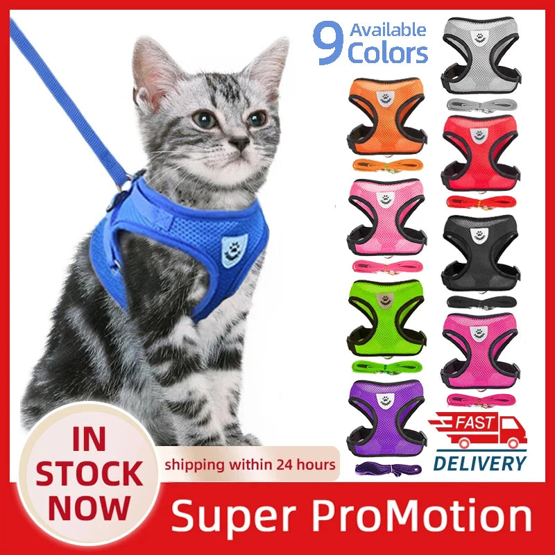 Adjustable Cat and Dog Harness Vest with Leash - Comfortable Mesh Walking Gear for Small and Medium Pets
