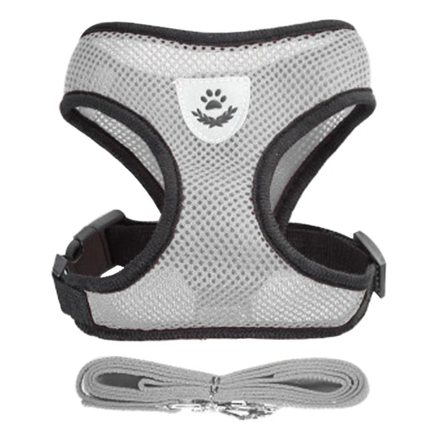 Adjustable Cat and Dog Harness Vest with Leash - Comfortable Mesh Walking Gear for Small and Medium Pets