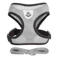 Adjustable Cat and Dog Harness Vest with Leash - Comfortable Mesh Walking Gear for Small and Medium Pets