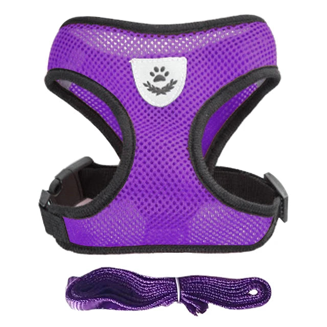 Adjustable Cat and Dog Harness Vest with Leash - Comfortable Mesh Walking Gear for Small and Medium Pets