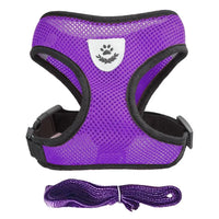 Adjustable Cat and Dog Harness Vest with Leash - Comfortable Mesh Walking Gear for Small and Medium Pets