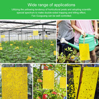 Ultimate Flycatcher Sticky Insect Board – 20-100 Pcs Double-Sided Adhesive Sheets for Greenhouse Pest Control