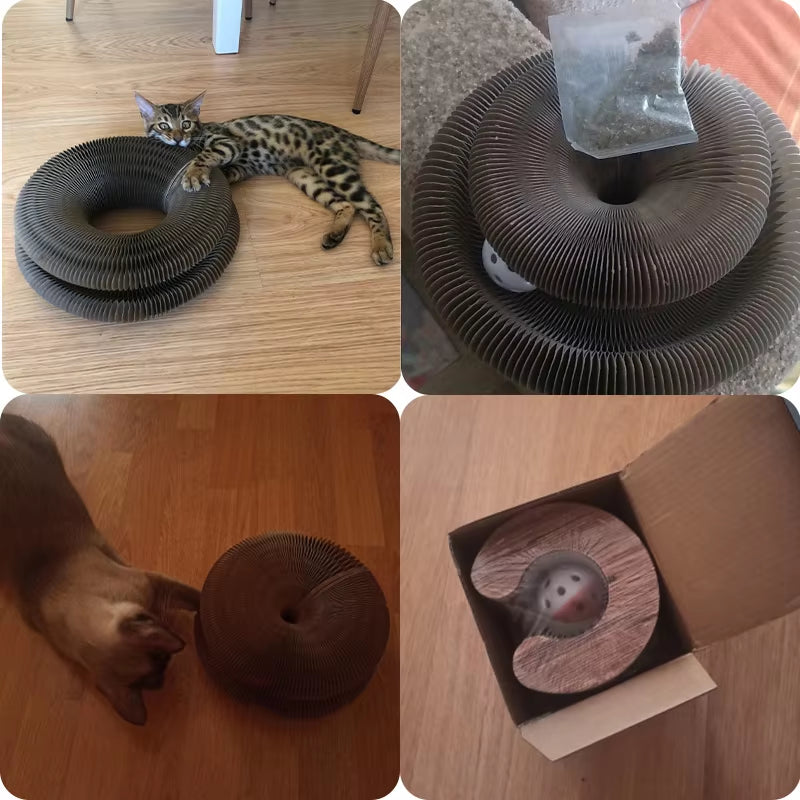 Ultimate Magic Organ Cat Scratcher - Round Corrugated Claw Grinding Toy for Happy Cats!
