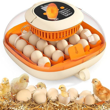 Chickcozy 25 Egg Incubator - Perfect for Hatching Success!