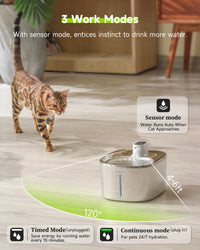 4L Wireless Auto Sensor Cat Water Fountain - Perfect Drinking Dispenser for Cats and Dogs