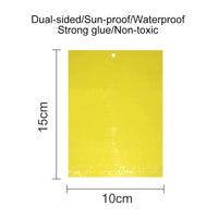 Ultimate Flycatcher Sticky Insect Board – 20-100 Pcs Double-Sided Adhesive Sheets for Greenhouse Pest Control