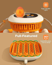 Chickcozy 25 Egg Incubator - Perfect for Hatching Success!