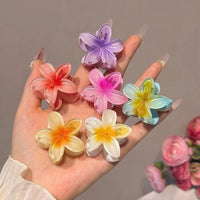 Gradient Flower Hair Clips 