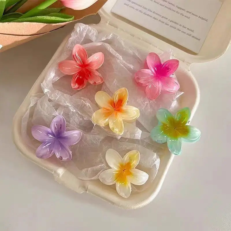Gradient Flower Hair Clips 