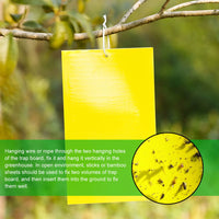 Ultimate Flycatcher Sticky Insect Board – 20-100 Pcs Double-Sided Adhesive Sheets for Greenhouse Pest Control